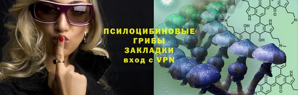 шишки Абаза