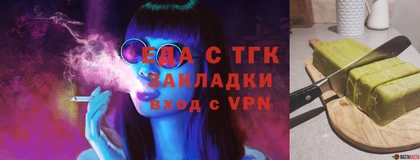 шишки Абаза