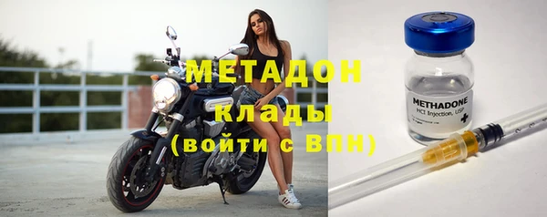 прущие грибы Алексин