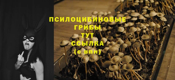 амф Абдулино