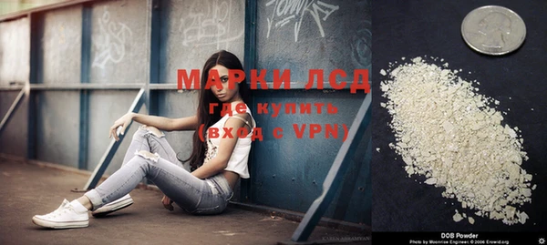 прущие грибы Алексин