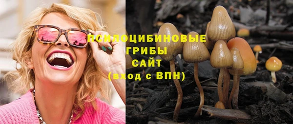 спиды Алзамай