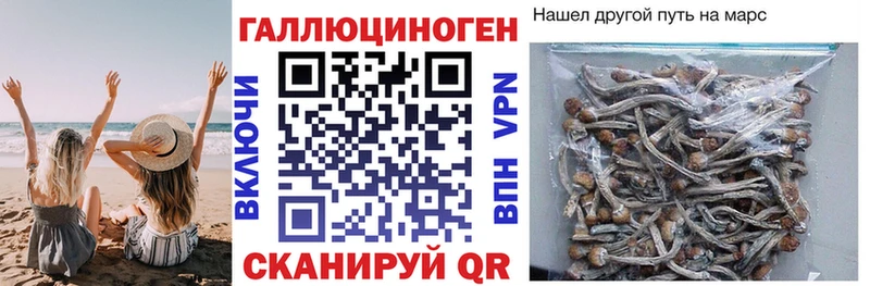 даркнет сайт  KRAKEN ТОР  Псилоцибиновые грибы ЛСД  Северская 